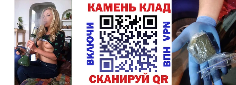 ГАШ Premium  Чудово 