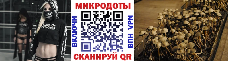 Галлюциногенные грибы прущие грибы  blacksprut вход  Чудово 